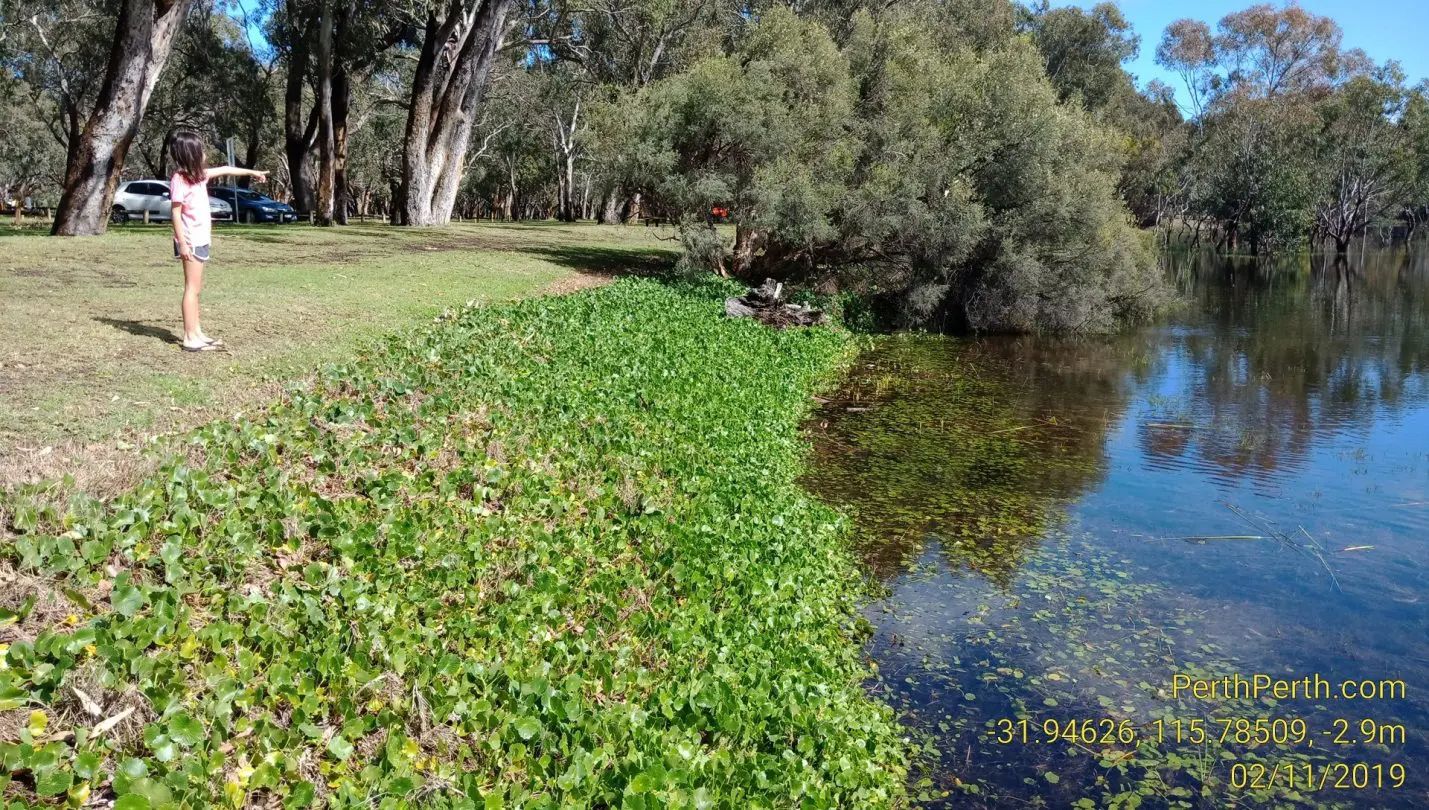 Perry Lake