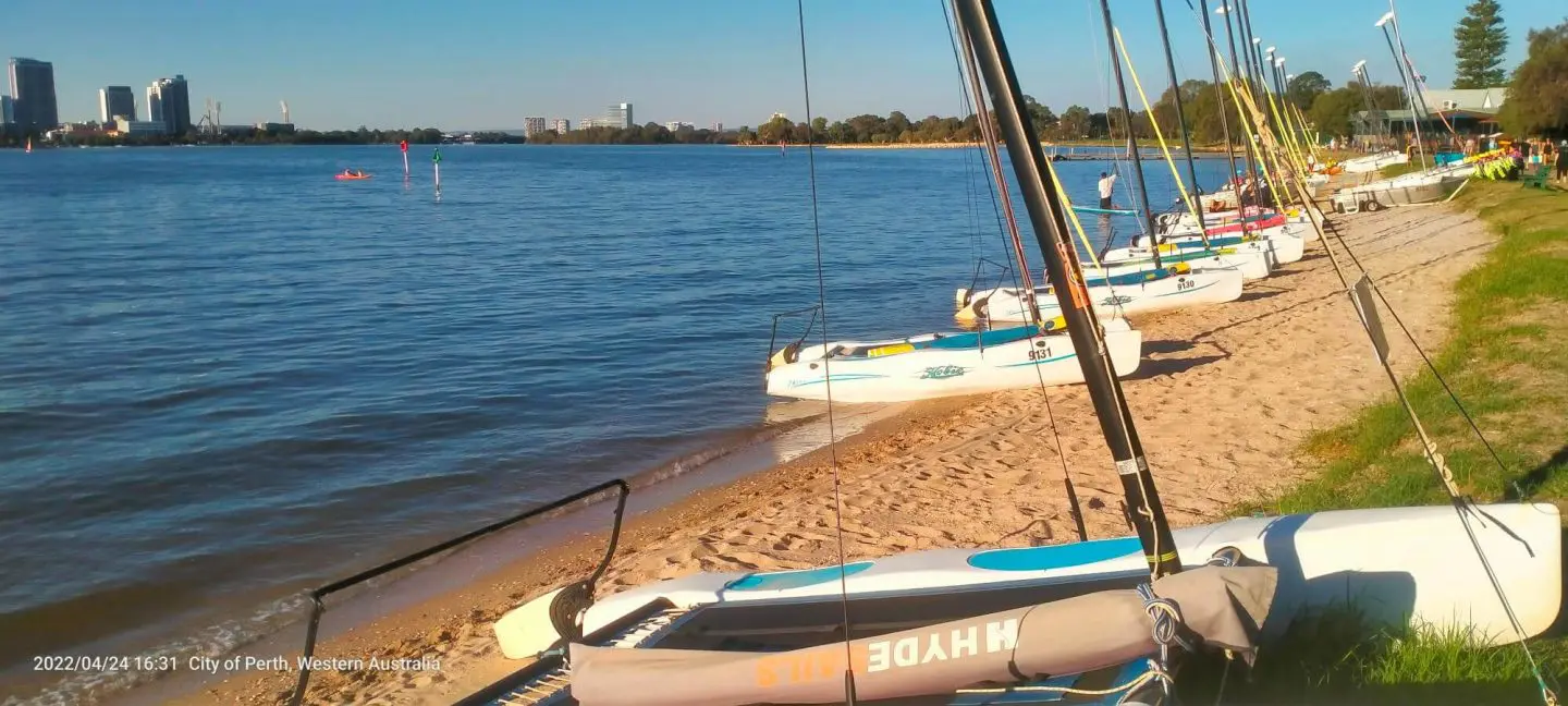 Fun cats south Perth