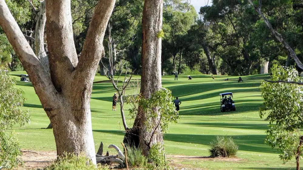 Golf course Mandurah