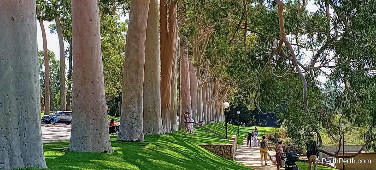 Kings Park
