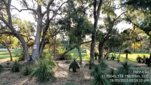 Joondalup Golf Course