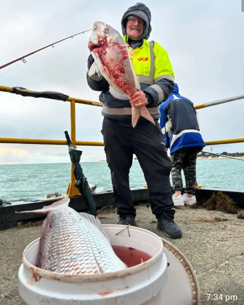 Pink snapper fishing at Hillarys Boat Harbour.