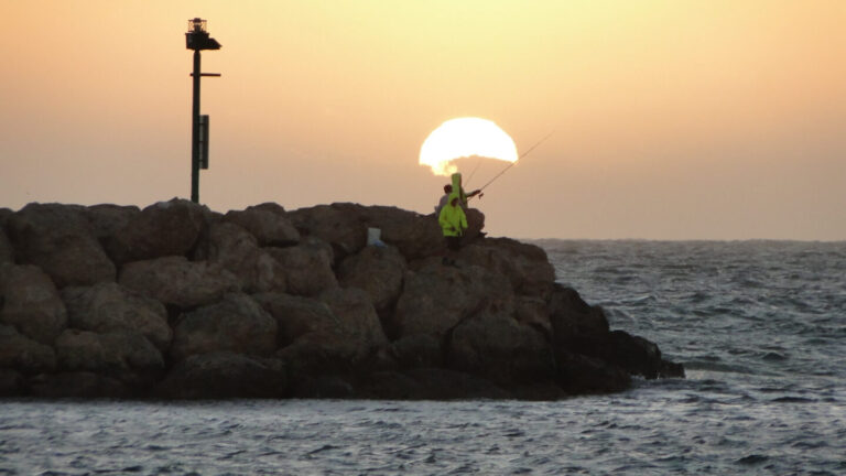 Hillarys Boat Harbour